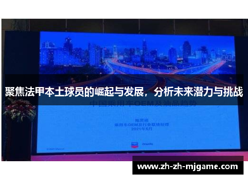聚焦法甲本土球员的崛起与发展,分析未来潜力与挑战 聚焦法甲本土球员的崛起与发展,分析未来潜力与挑战